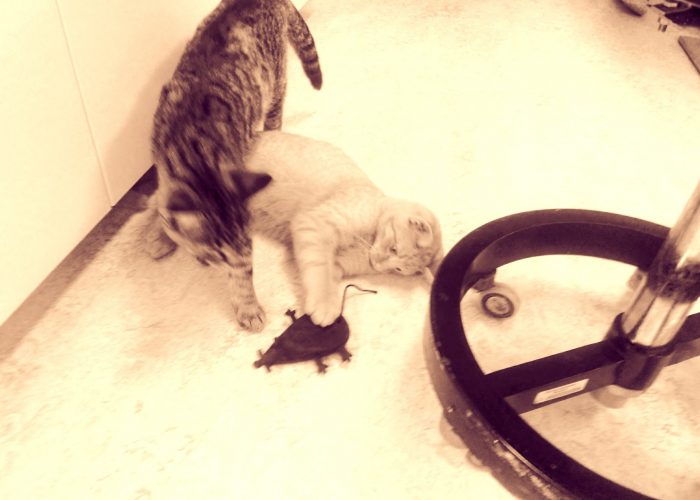 20200929_131931-scaled