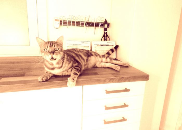 20201007_203519-scaled