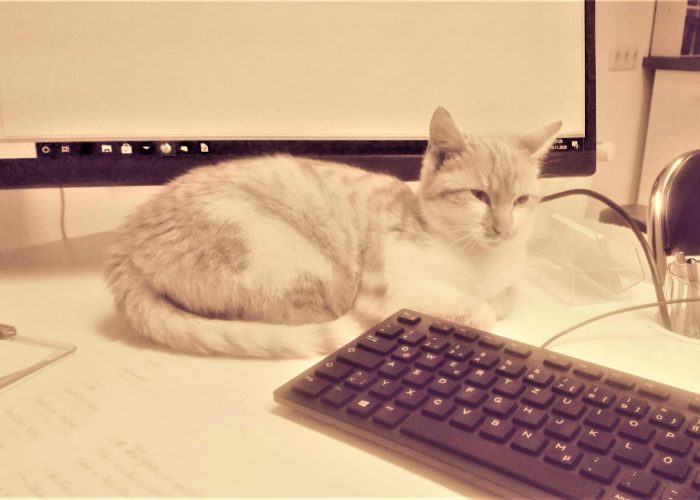 20201123_184408-scaled